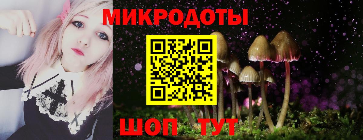 Галлюциногенные грибы прущие грибы Сокол