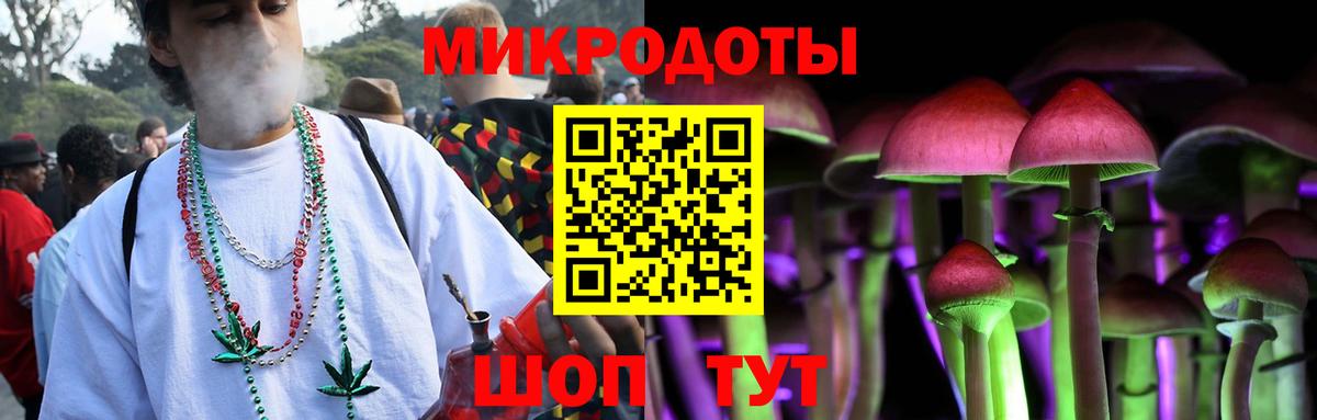 Сокол  Псилоцибиновые грибы прущие грибы  Вход с VPN 
